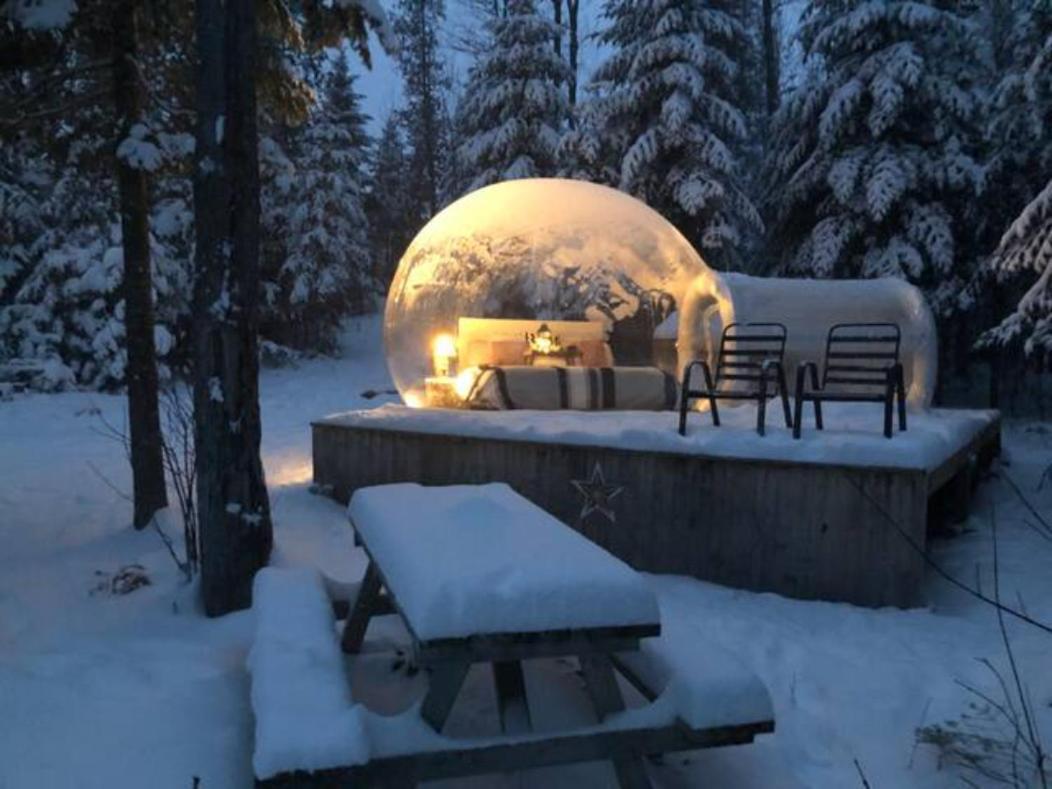 Tente Bulle Intime Sous Les Etoiles 에스테렐 외부 사진